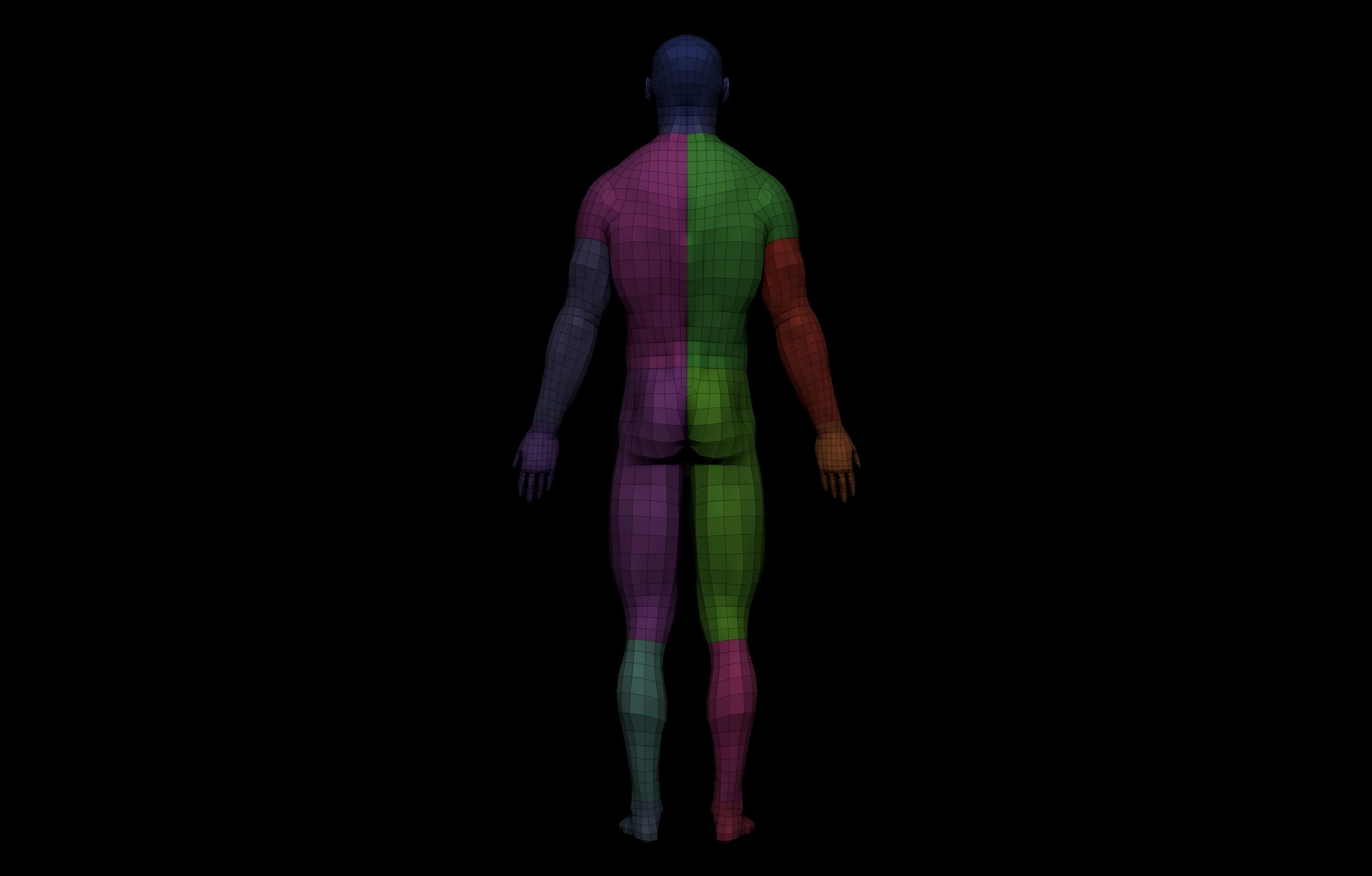 HD Male Complete Human 3D Anatomy Model Low-poly 3D model_19