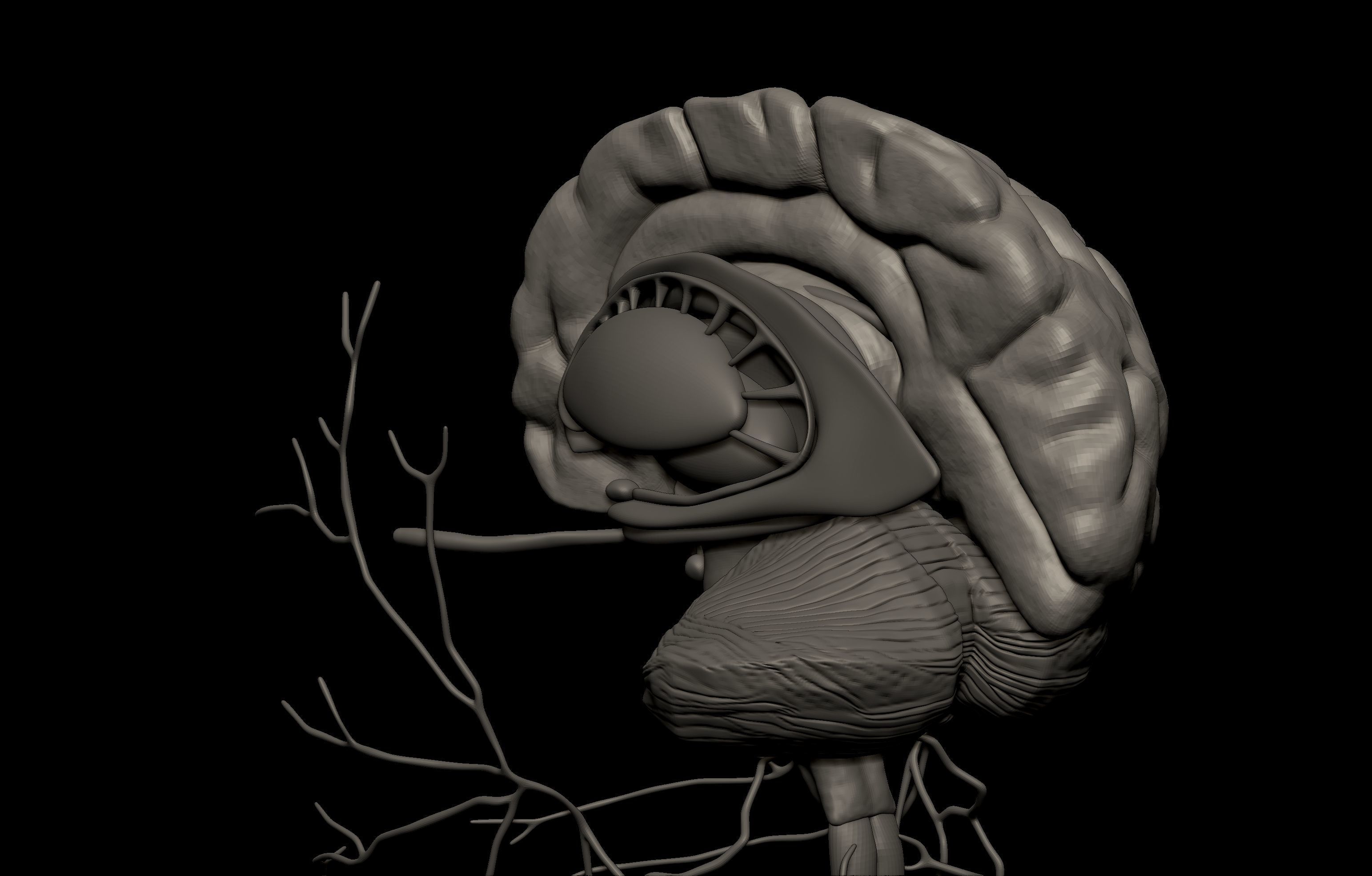 HD Male Complete Human 3D Anatomy Model Low-poly 3D model_90