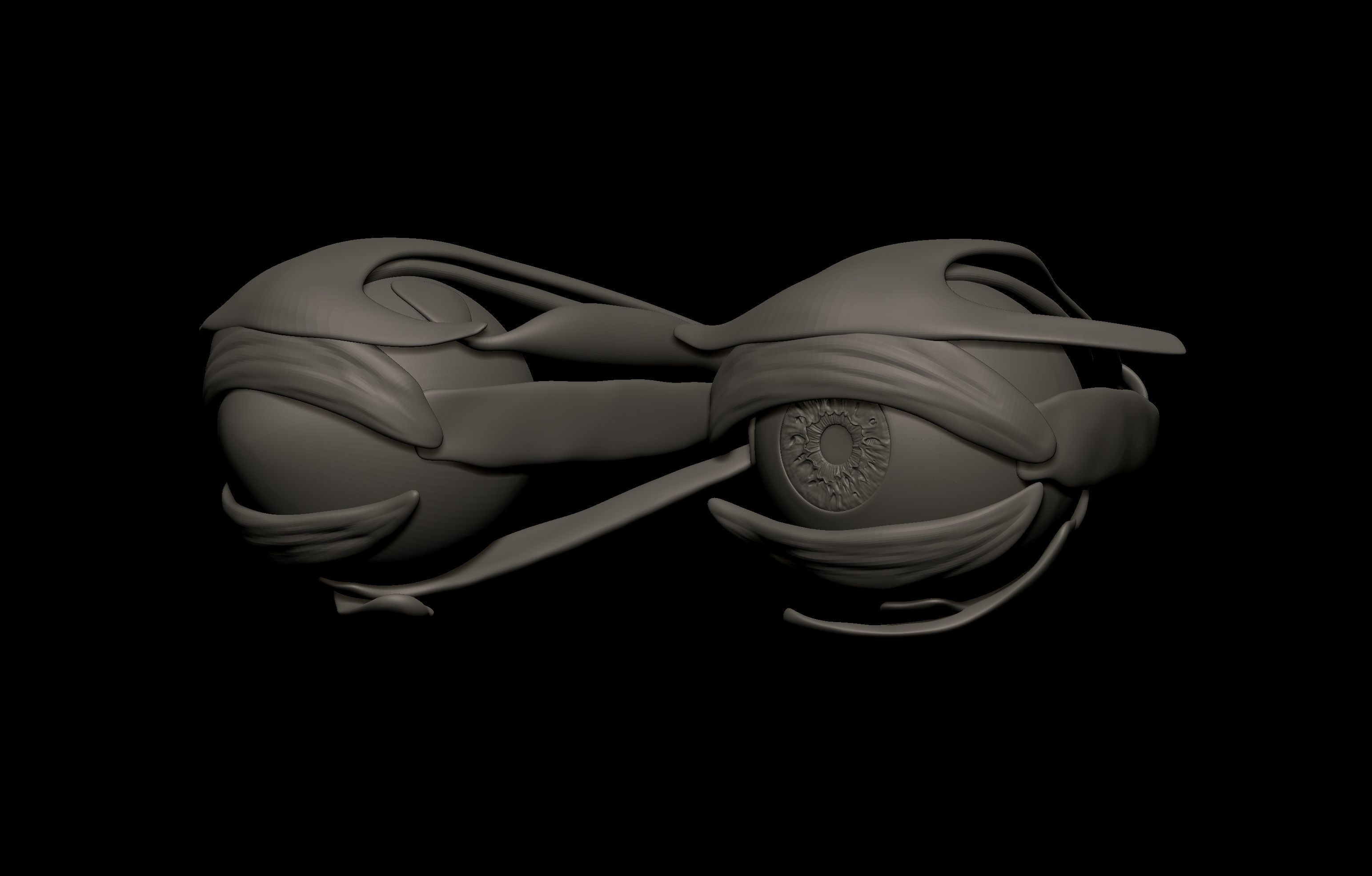 HD Male Complete Human 3D Anatomy Model Low-poly 3D model_98