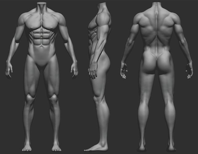 Male body 3D model