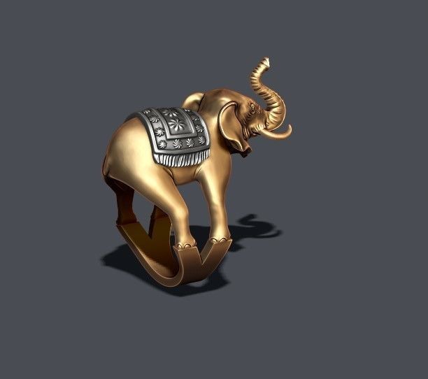Elephant ring 3D print model_1