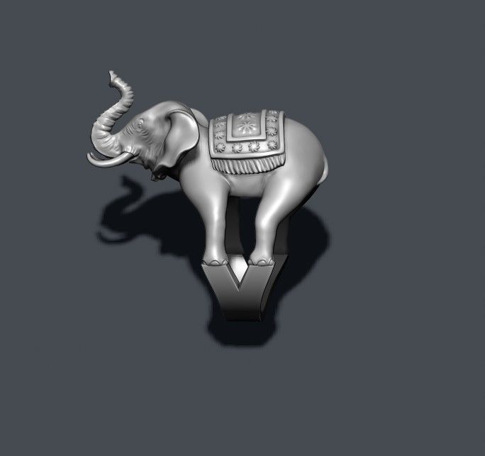 Elephant ring 3D print model_2