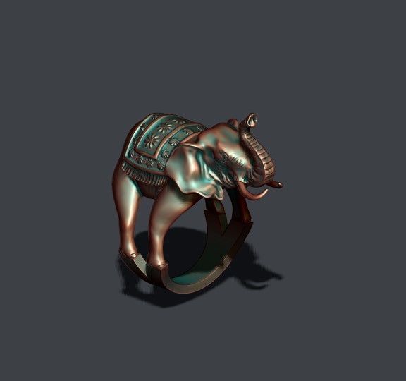 Elephant ring 3D print model_6