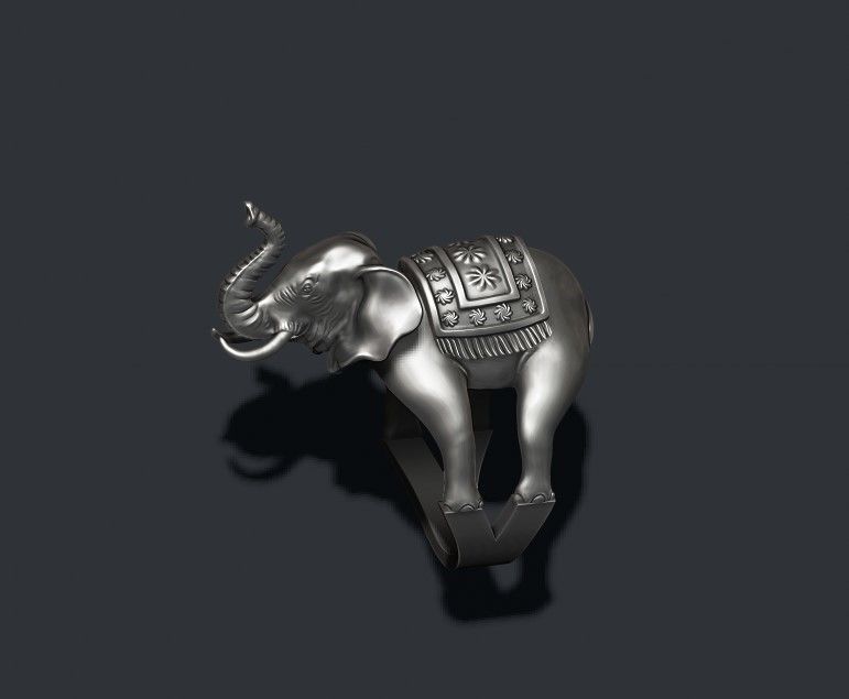 Elephant ring 3D print model_8