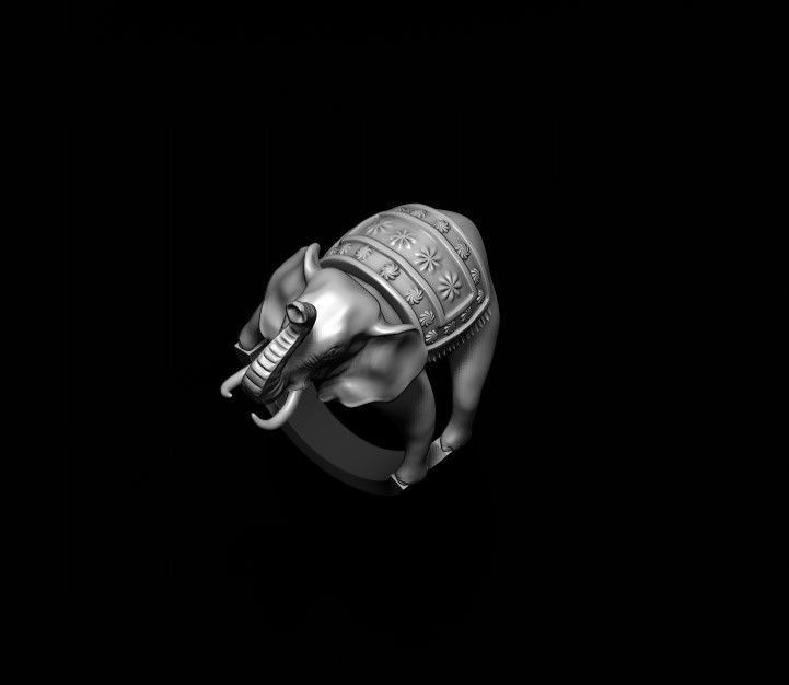 Elephant ring 3D print model_4