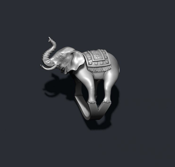 Elephant ring 3D print model_7
