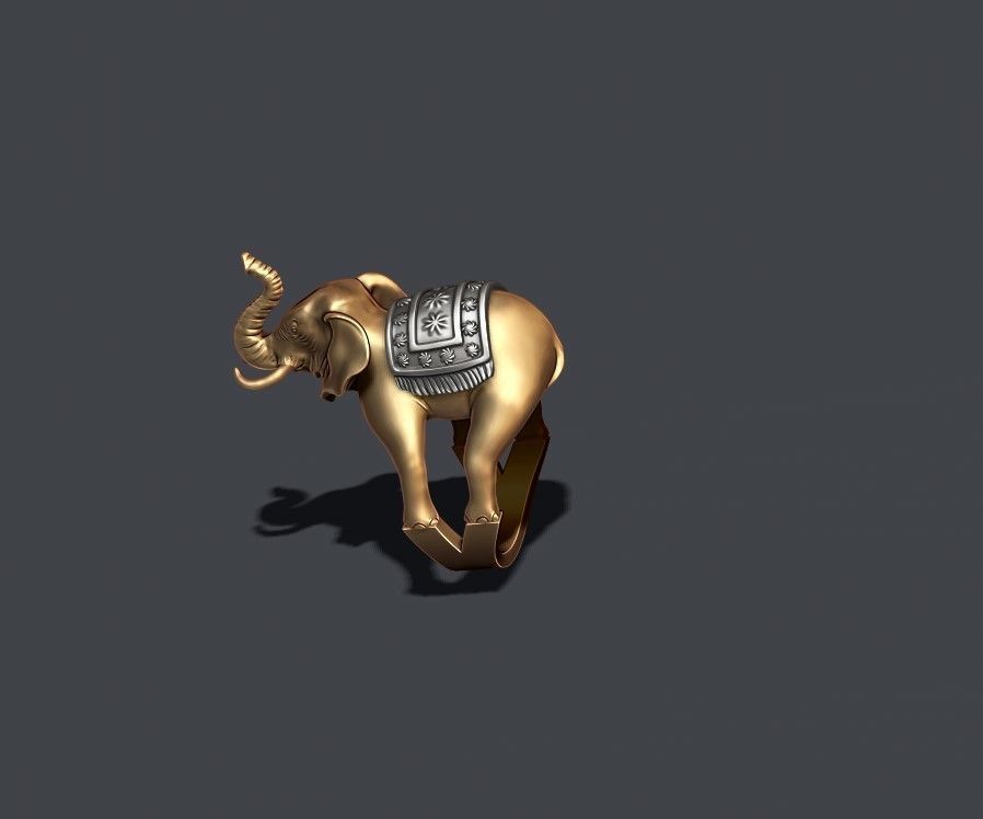 Elephant ring 3D print model_5