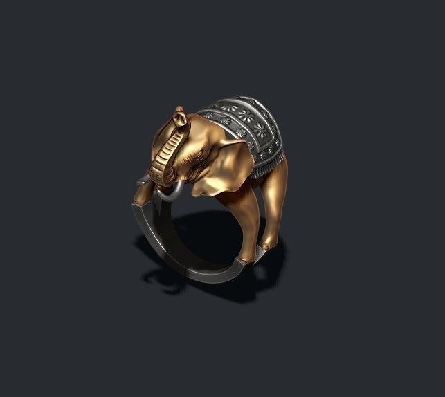 Elephant ring 3D print model_3