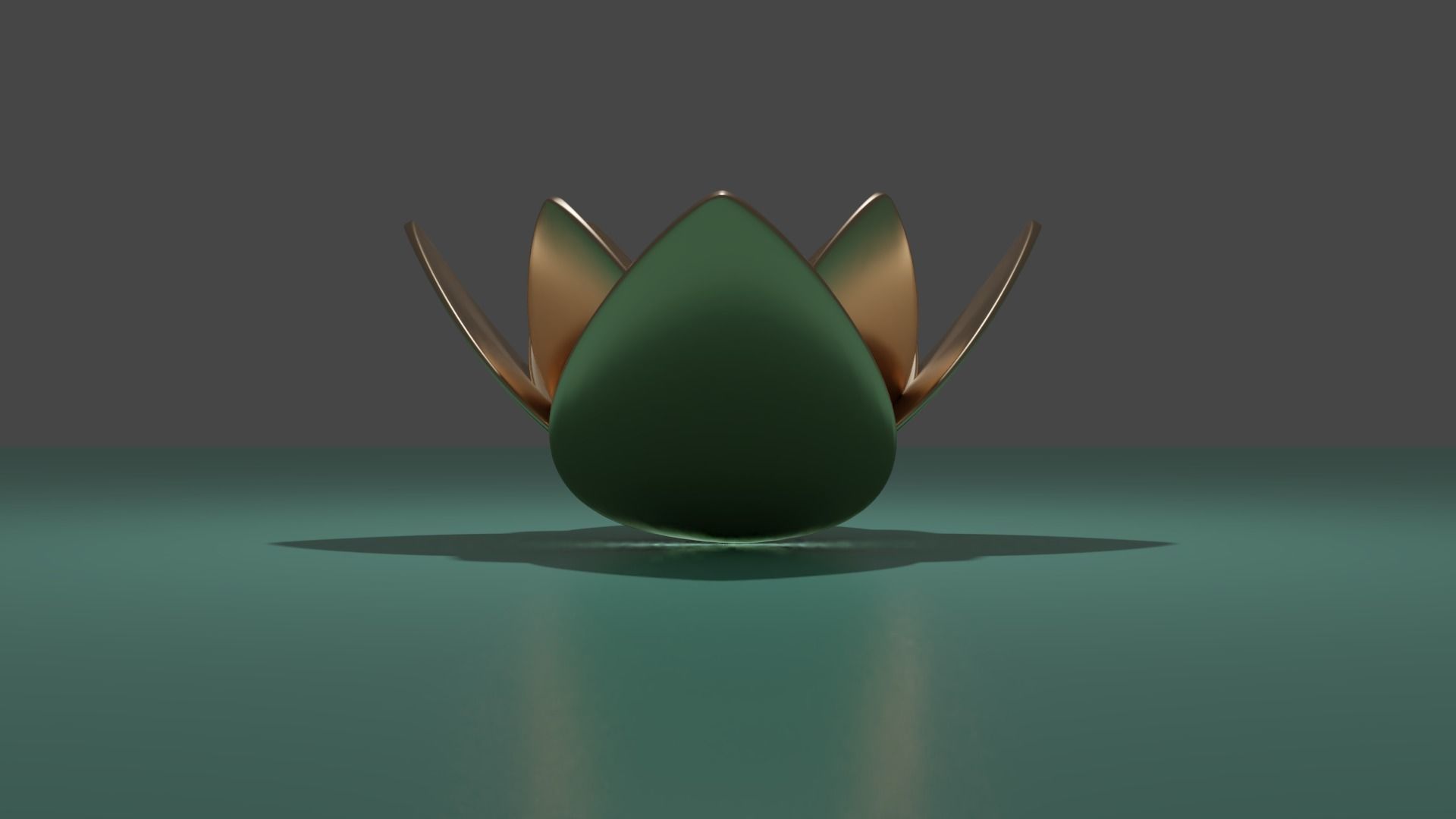 Lotus collection march 2021 _13