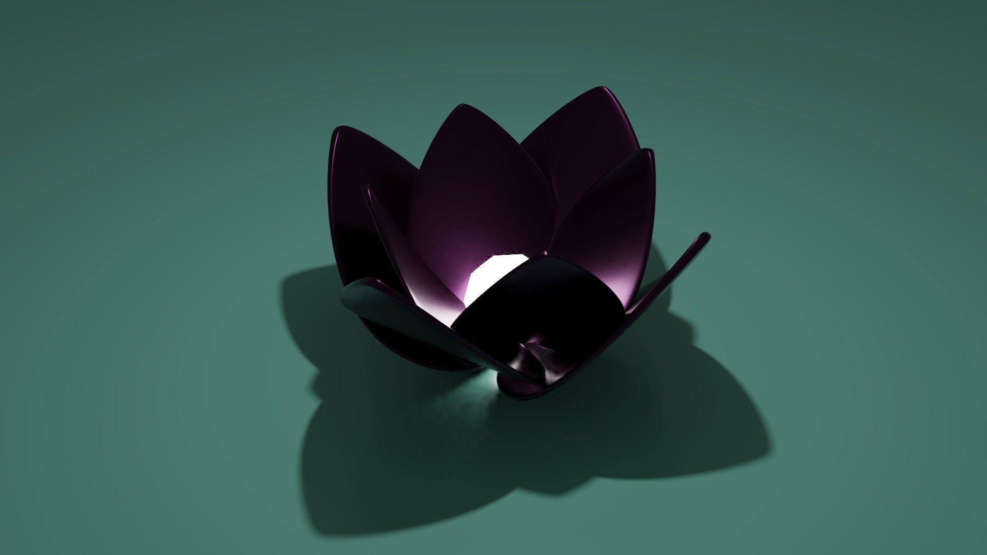 Lotus collection march 2021 _32