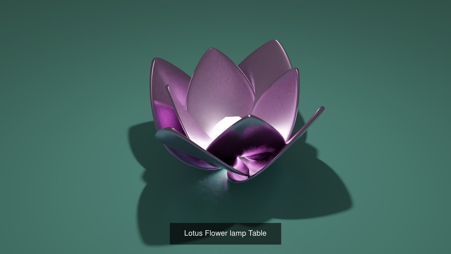 Lotus collection march 2021 _1