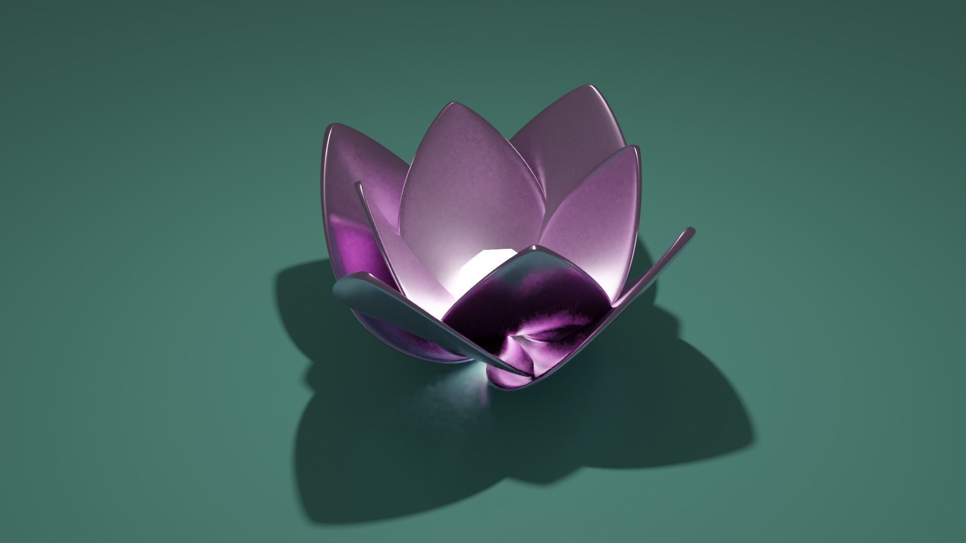 Lotus collection march 2021 _35