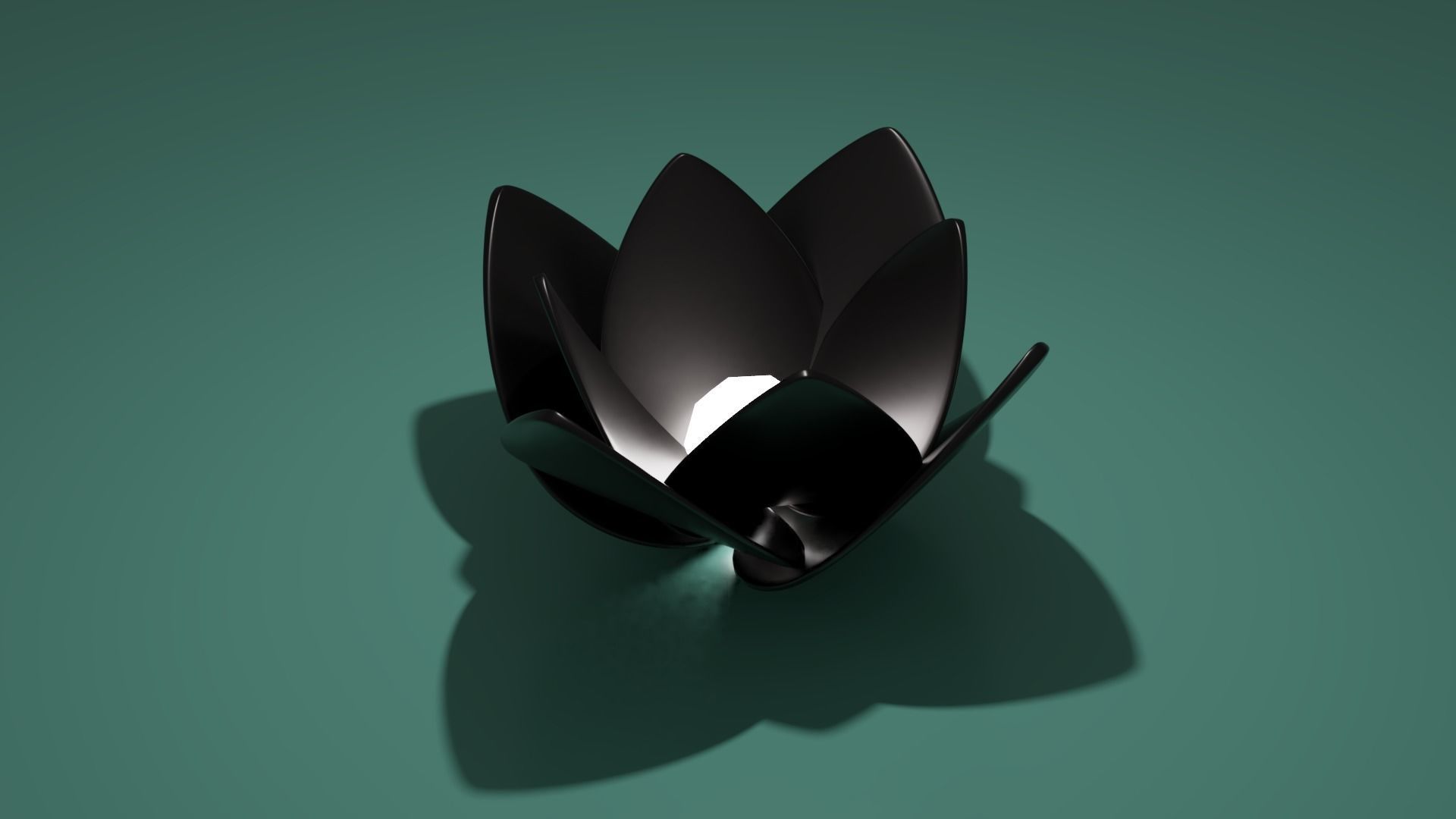 Lotus collection march 2021 _30