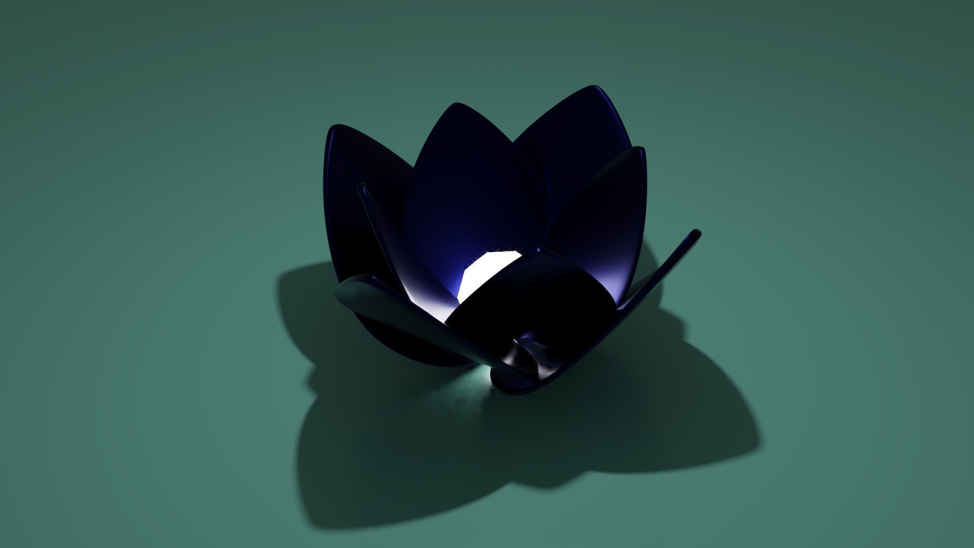 Lotus collection march 2021 _31