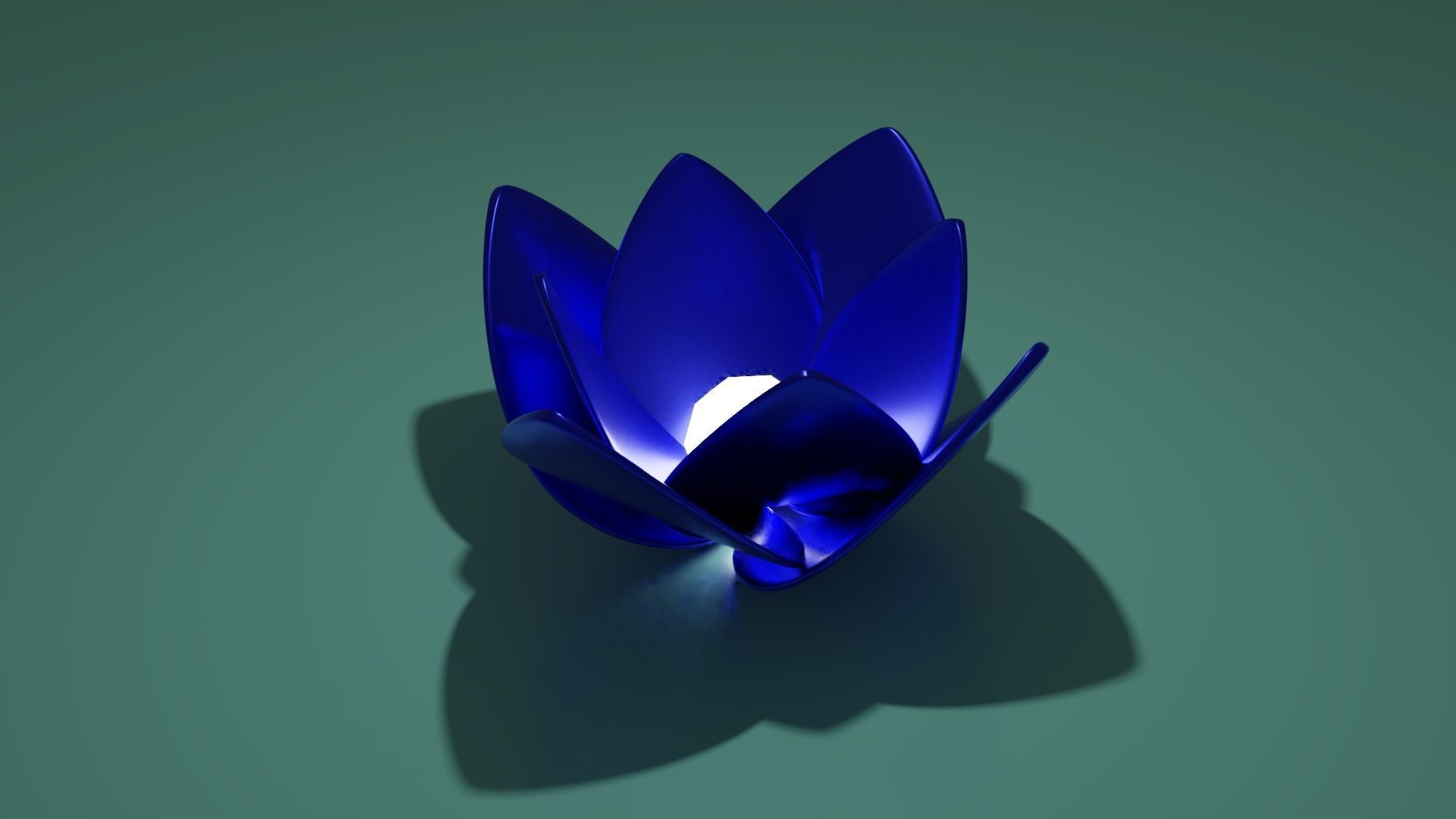 Lotus collection march 2021 _37