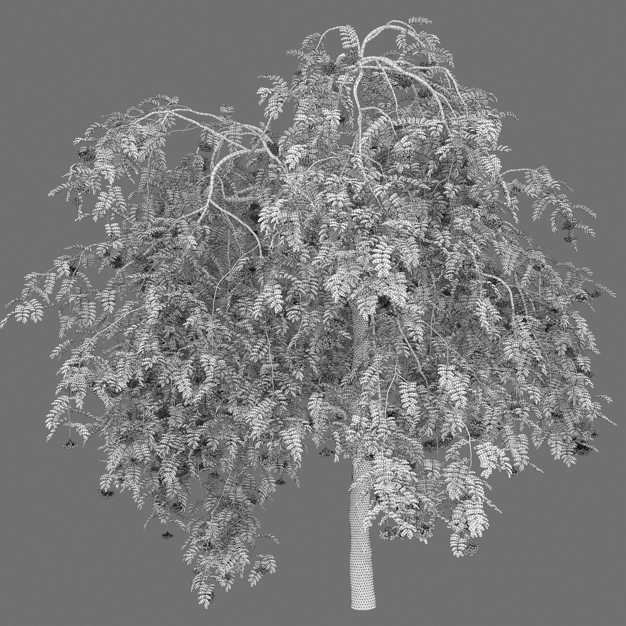 Rowan pendula 01 3D model_6