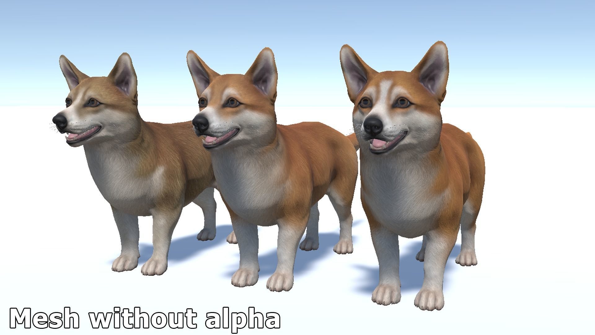 Dog - Corgi Low-poly 3D model_13