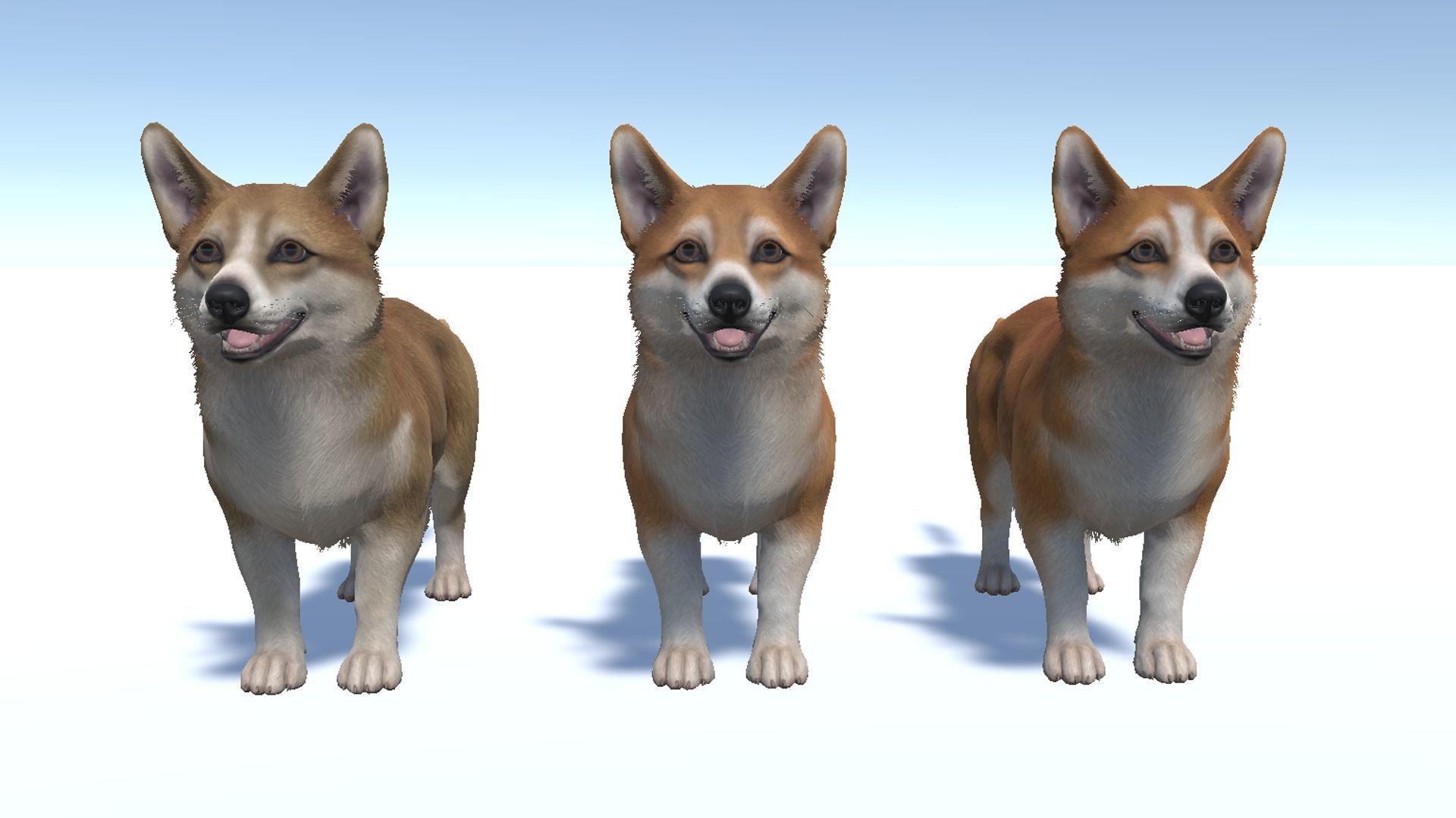 Dog - Corgi Low-poly 3D model_8