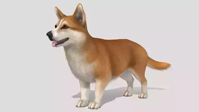 Dog - Corgi Low-poly 3D model
