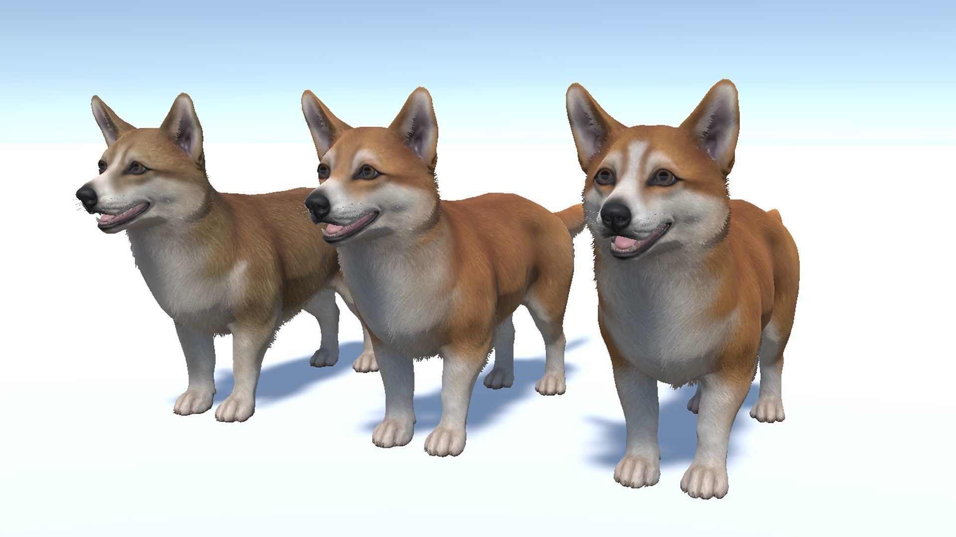 Dog - Corgi Low-poly 3D model_7