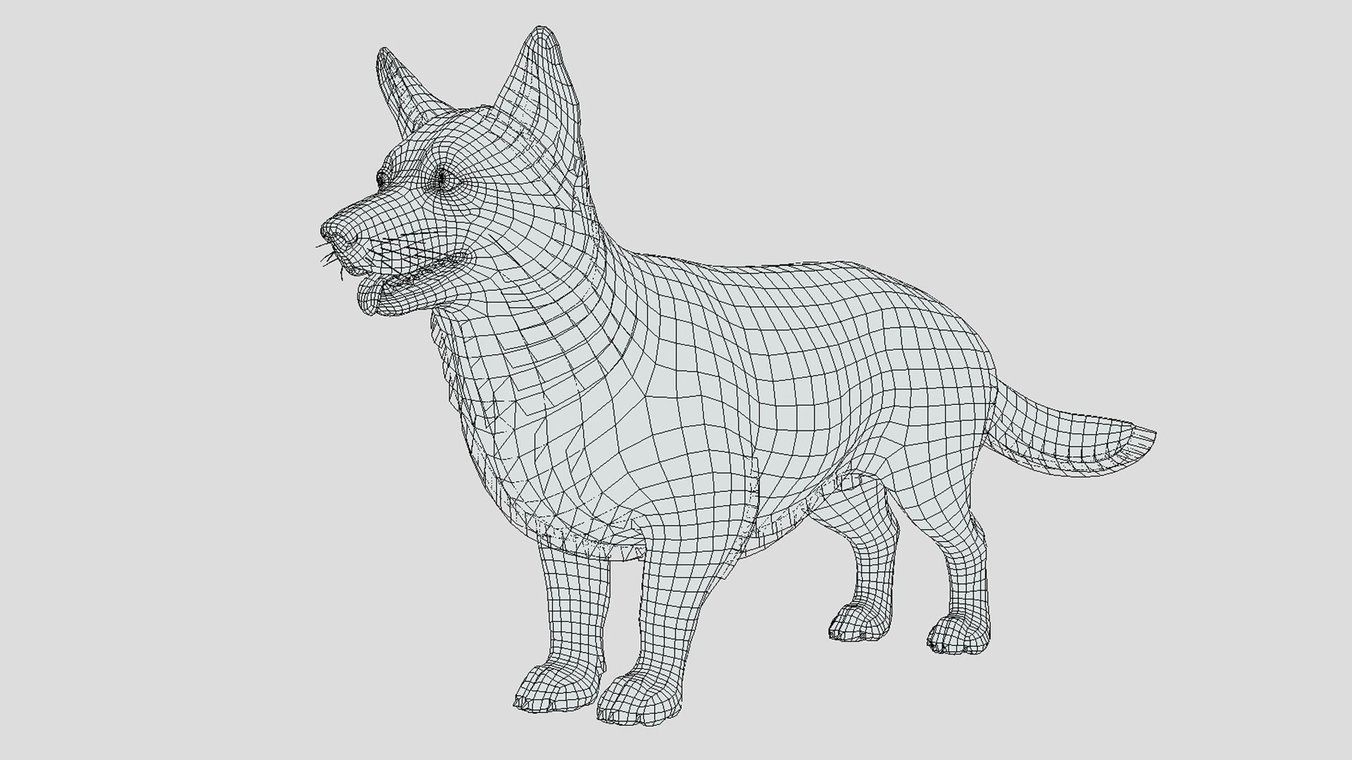 Dog - Corgi Low-poly 3D model_15