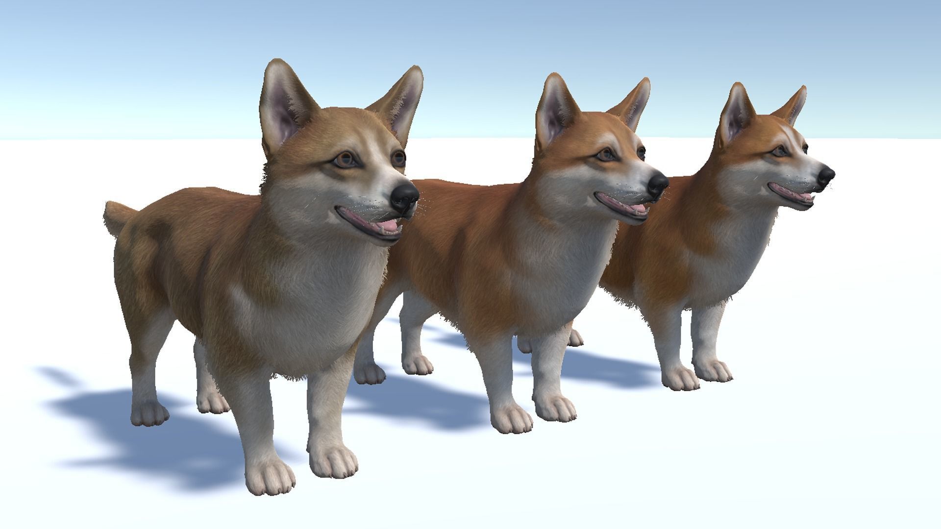 Dog - Corgi Low-poly 3D model_9