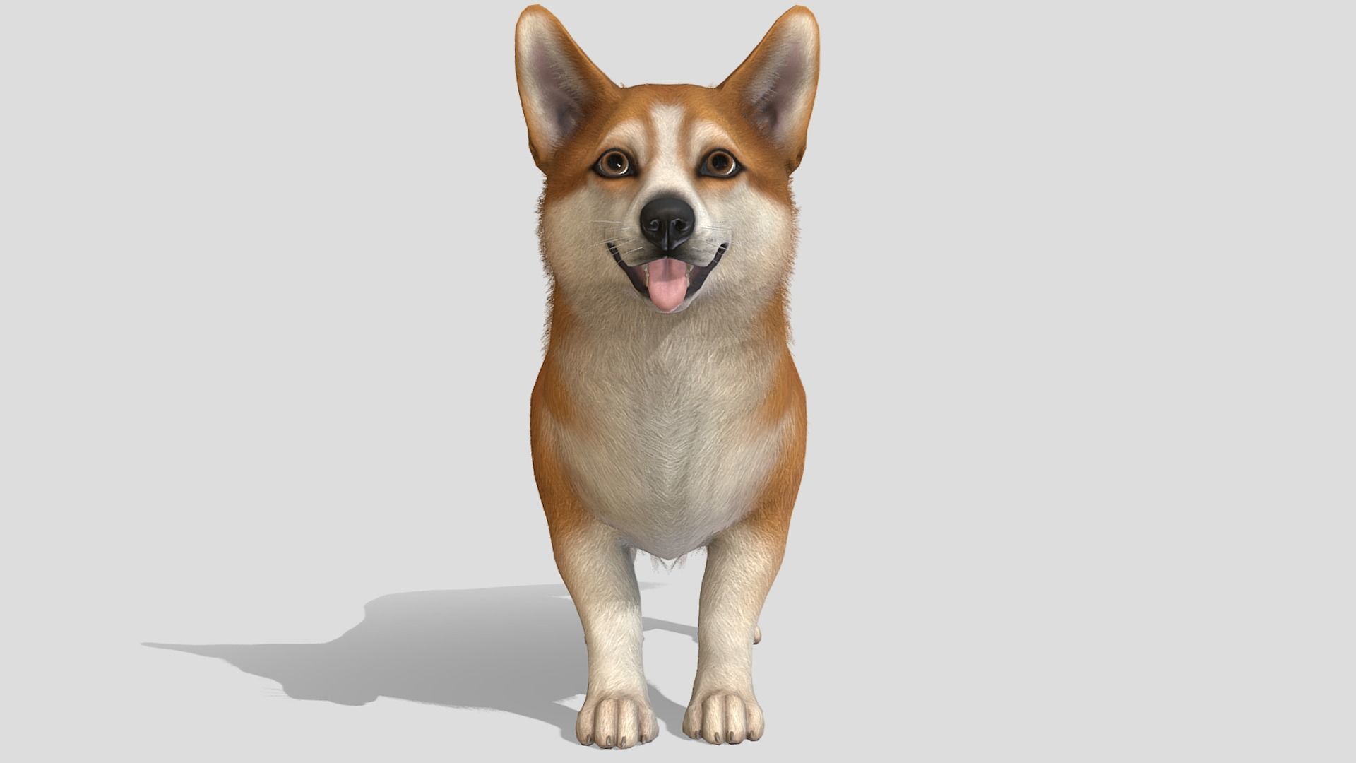 Dog - Corgi Low-poly 3D model_3