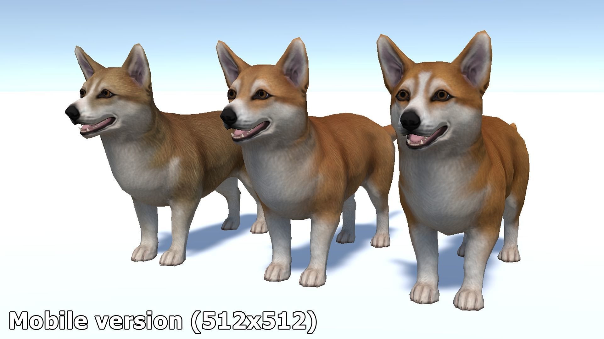 Dog - Corgi Low-poly 3D model_14