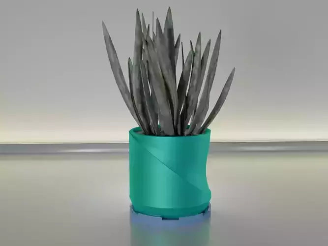 succulent plant pot 26