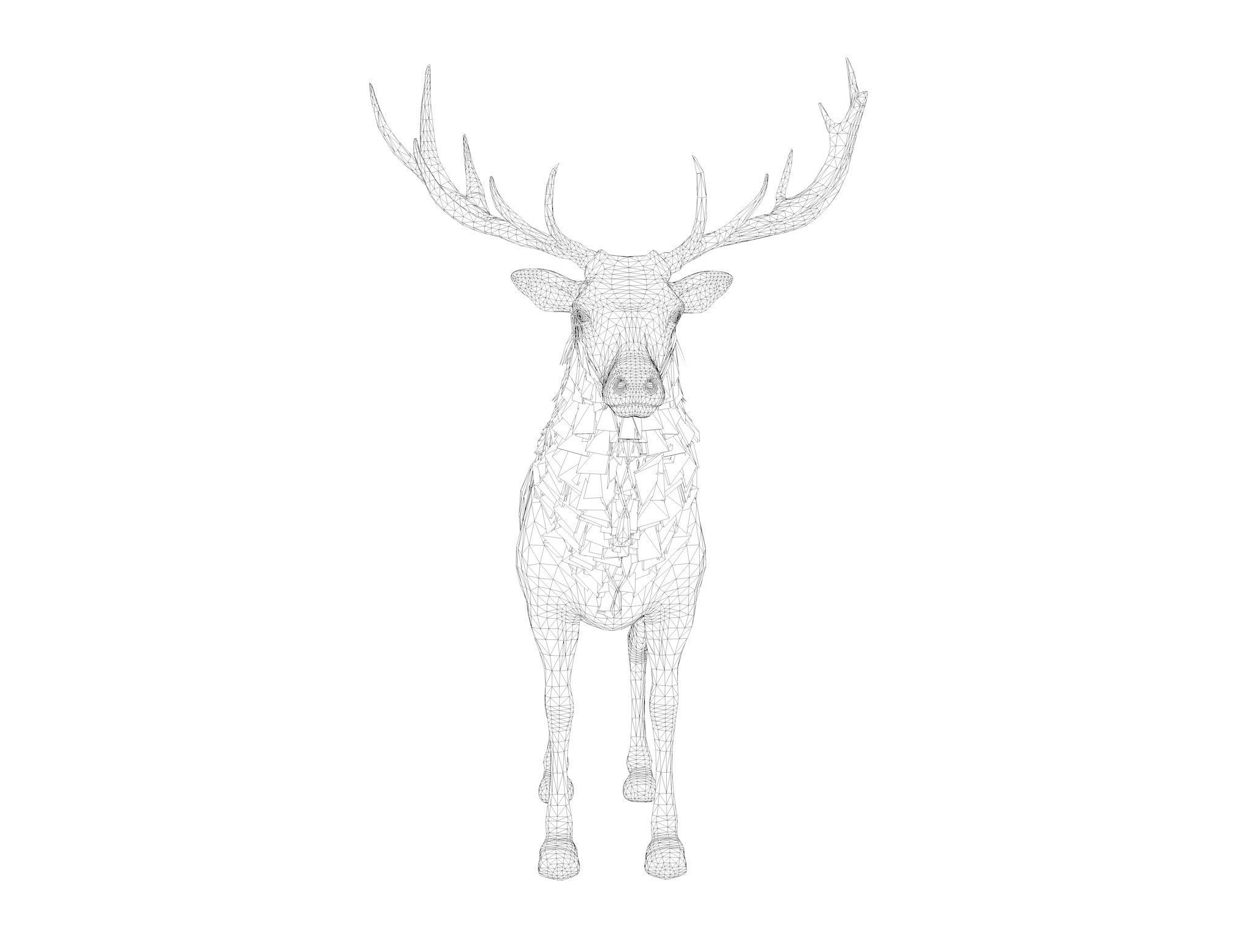 Deer stag Low-poly 3D model_10