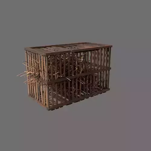 Medieval Wood Cage