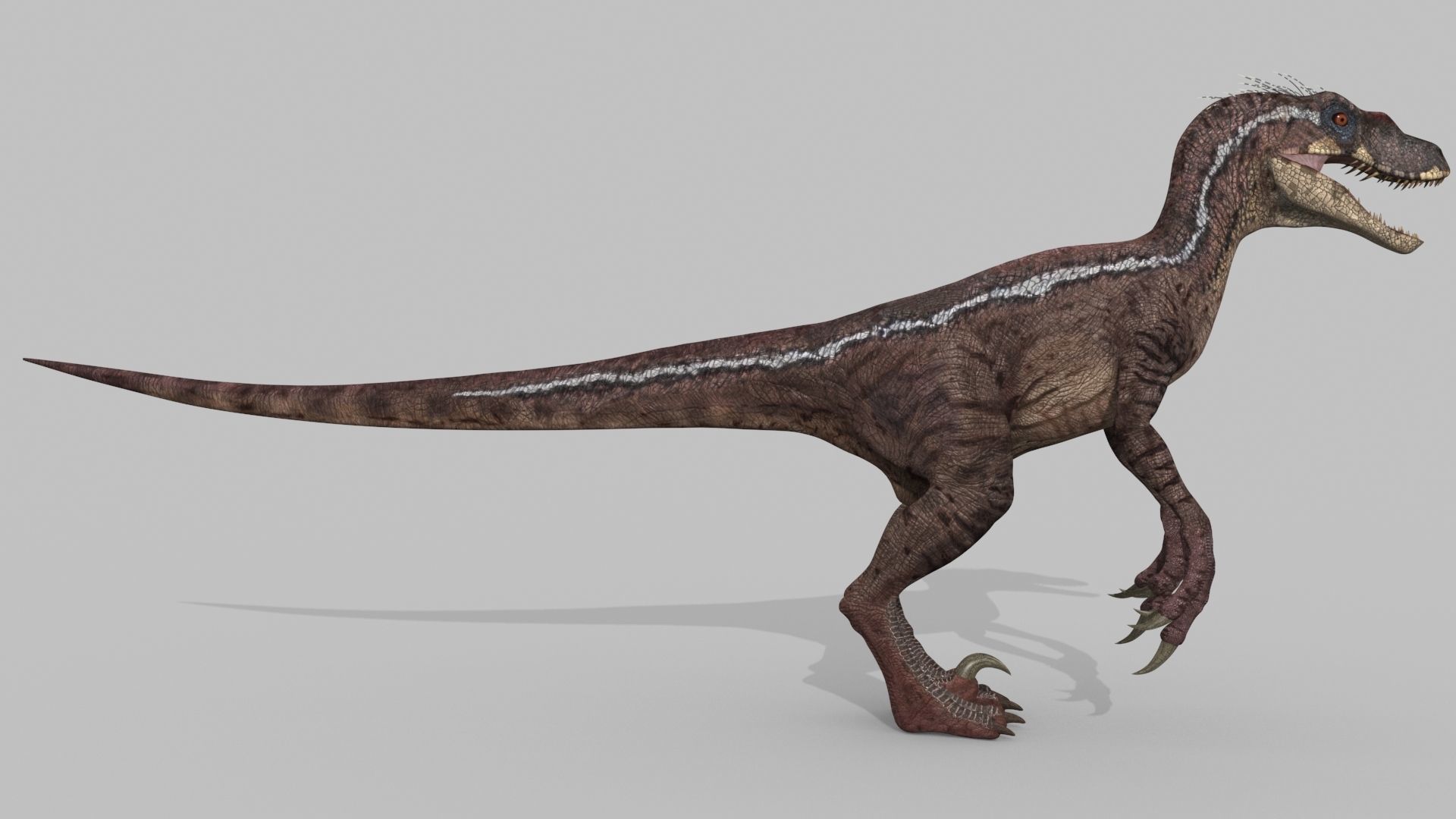 Raptor Forever - 8K 3D model_12