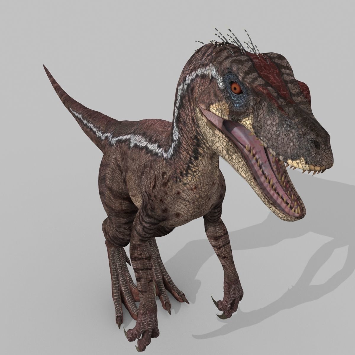 Raptor Forever - 8K 3D model_21