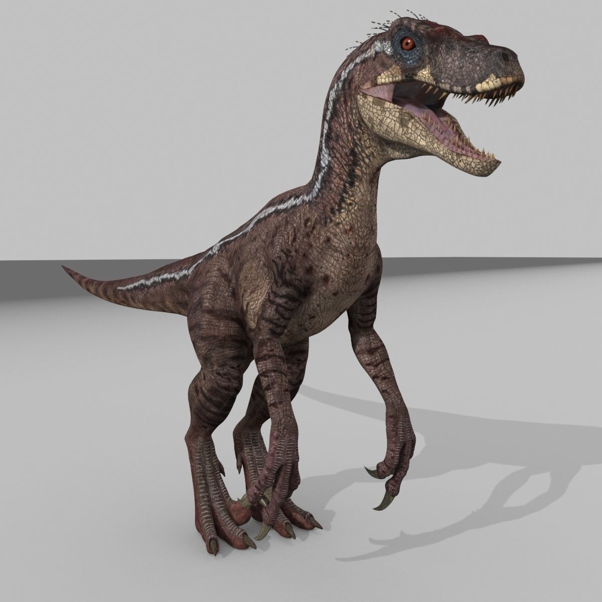 Raptor Forever - 8K 3D model_27