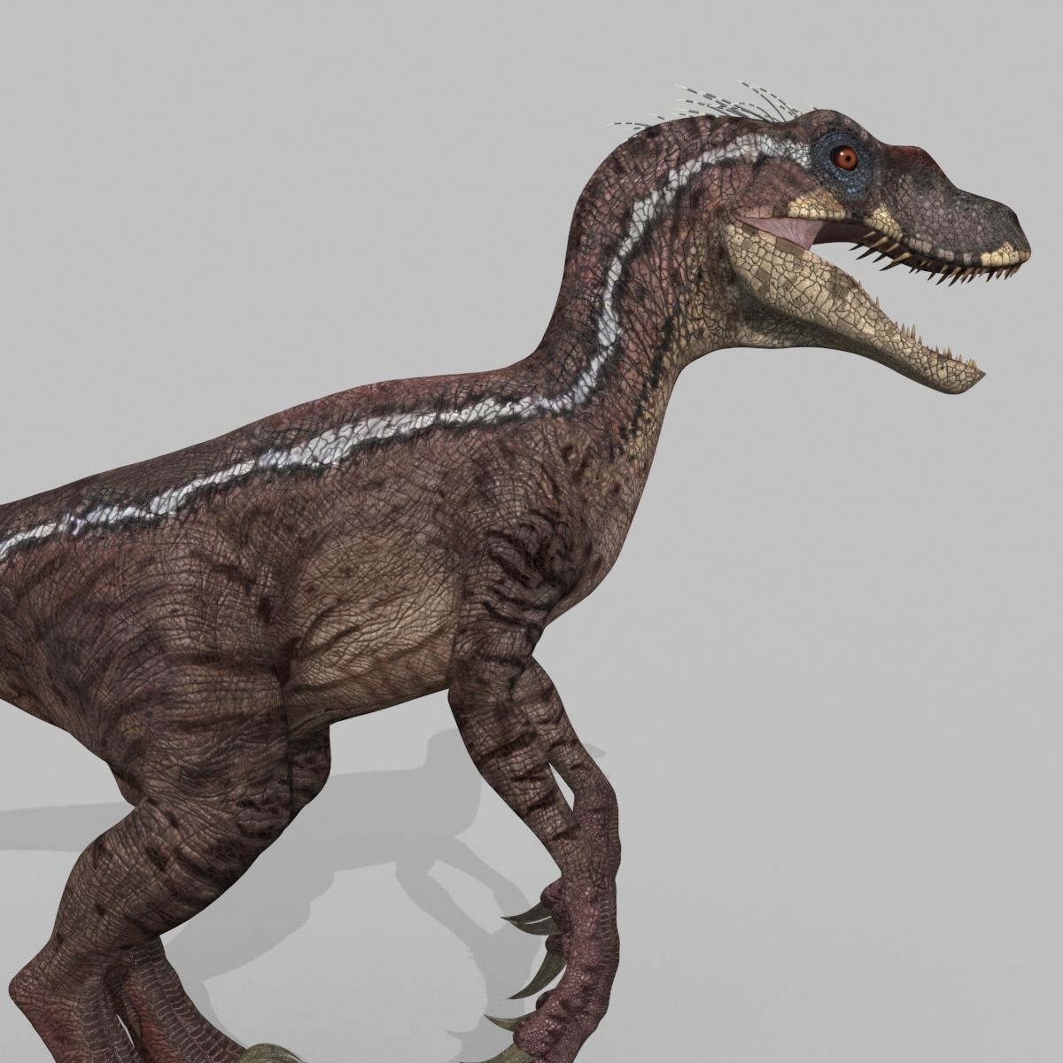 Raptor Forever - 8K 3D model_10