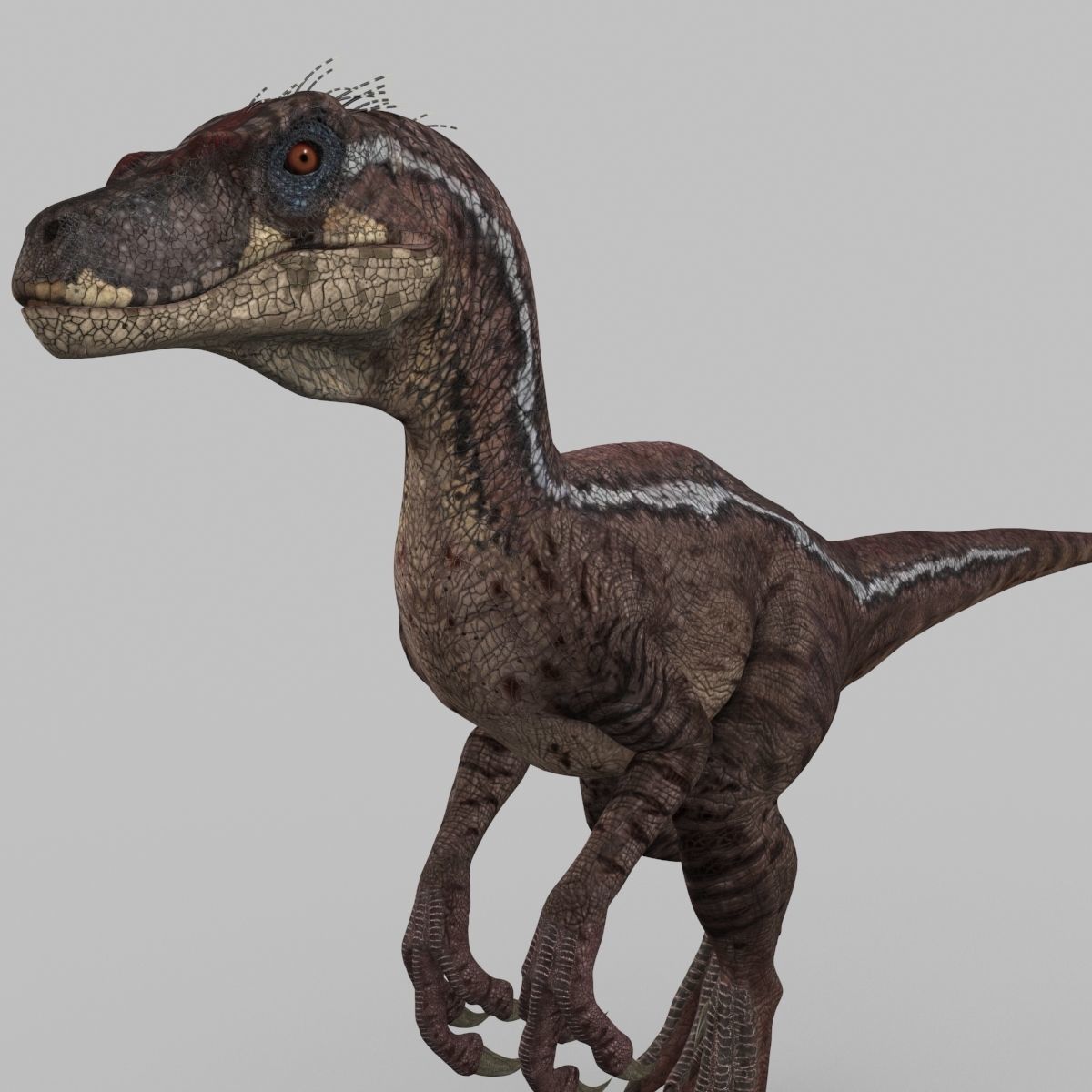 Raptor Forever - 8K 3D model_16