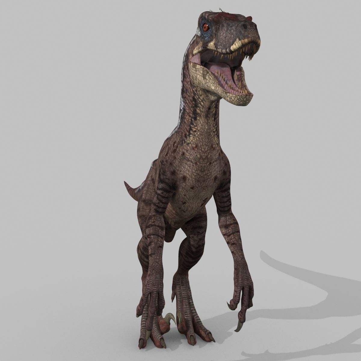 Raptor Forever - 8K 3D model_11