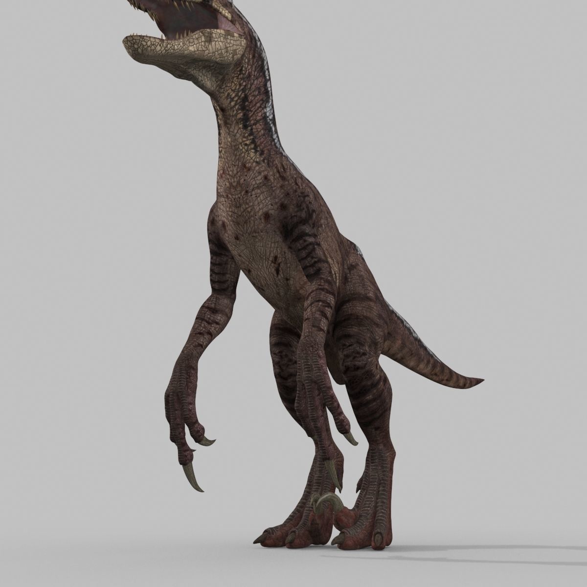 Raptor Forever - 8K 3D model_25