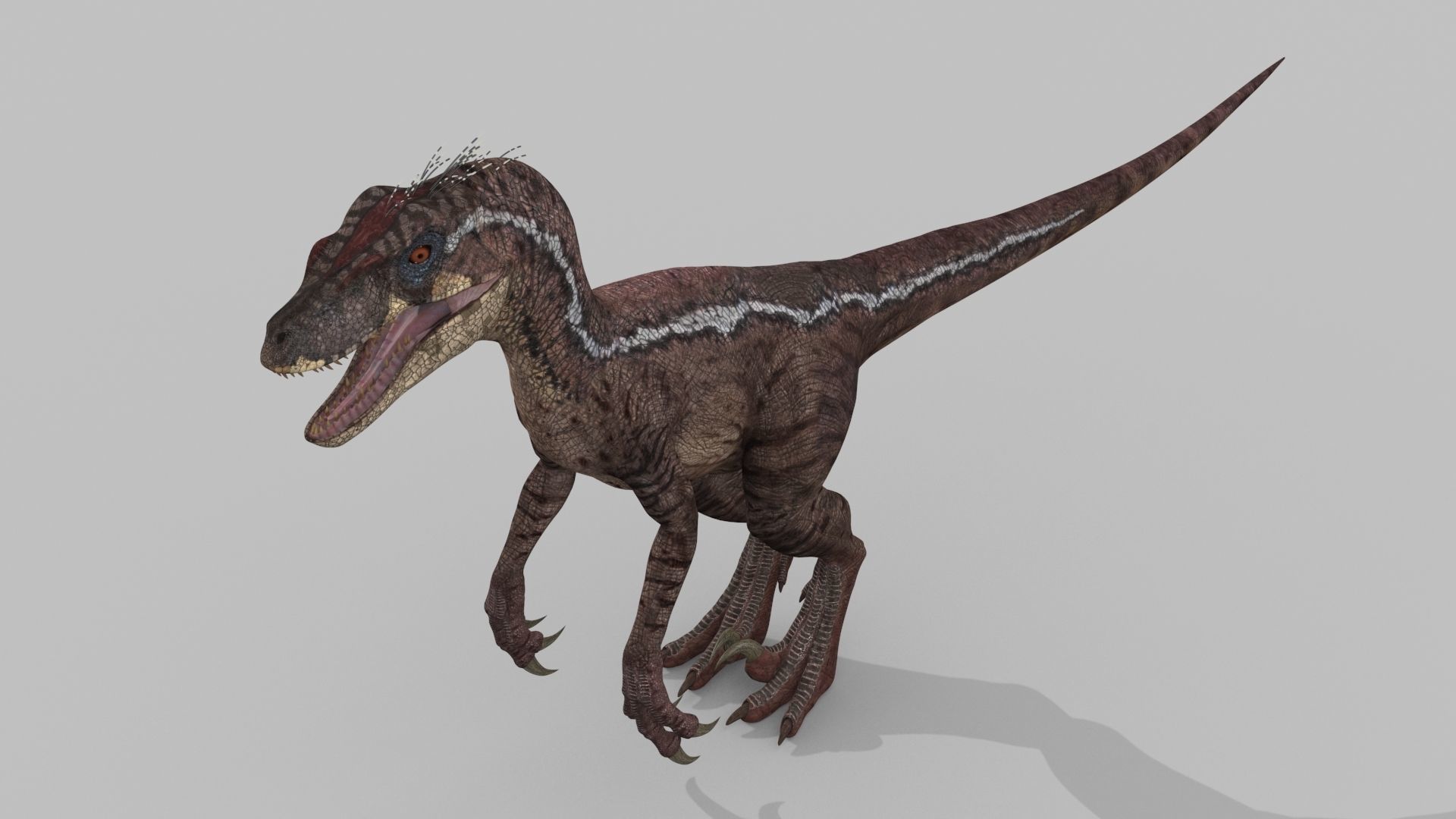Raptor Forever - 8K 3D model_24