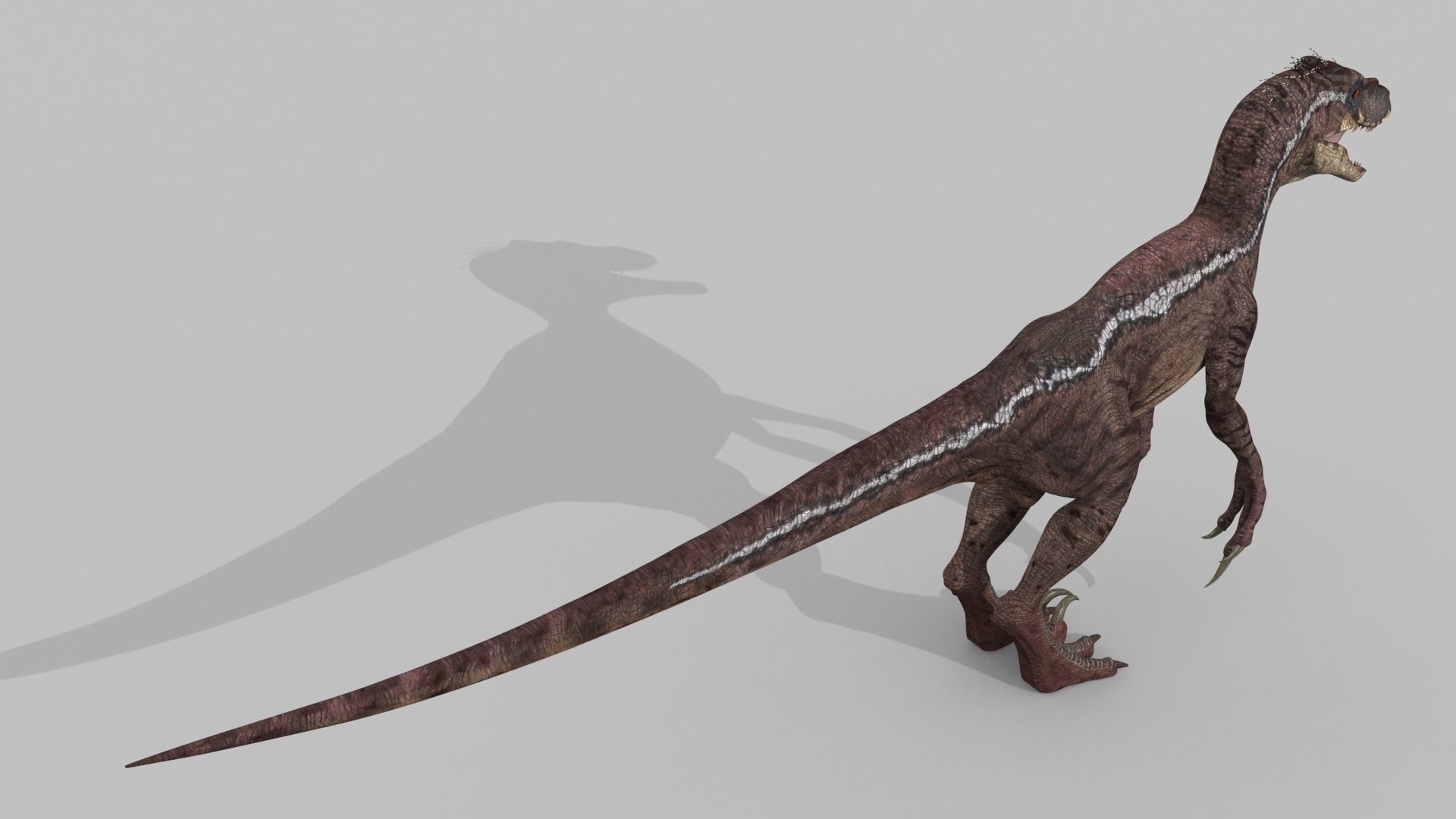 Raptor Forever - 8K 3D model_23