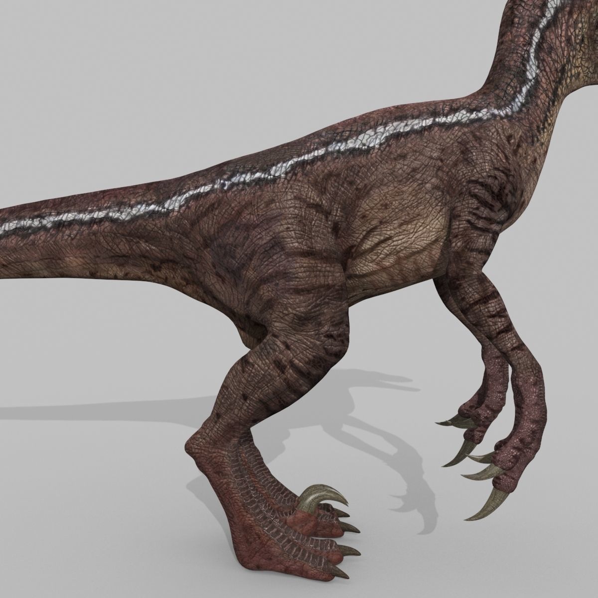 Raptor Forever - 8K 3D model_15