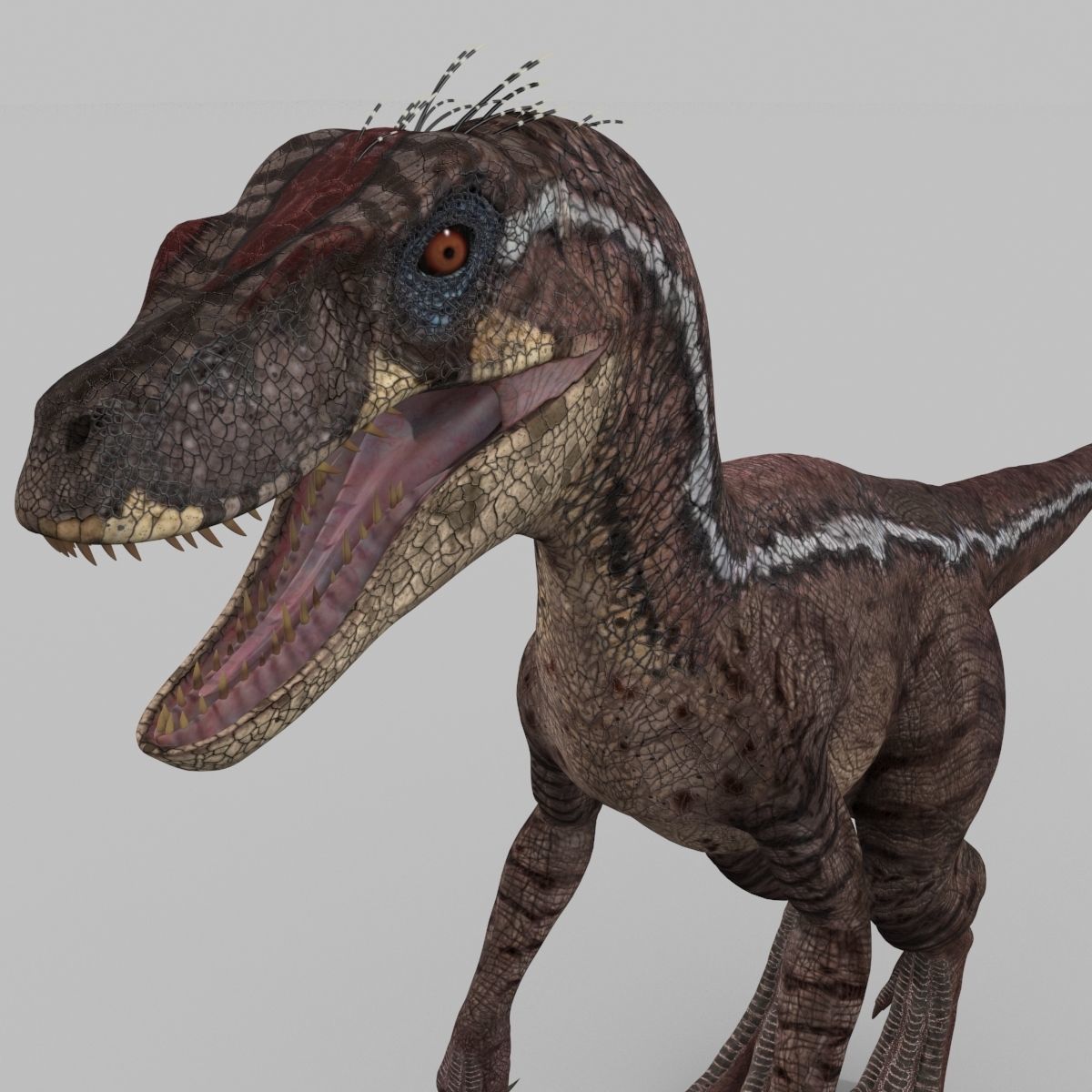 Raptor Forever - 8K 3D model_14