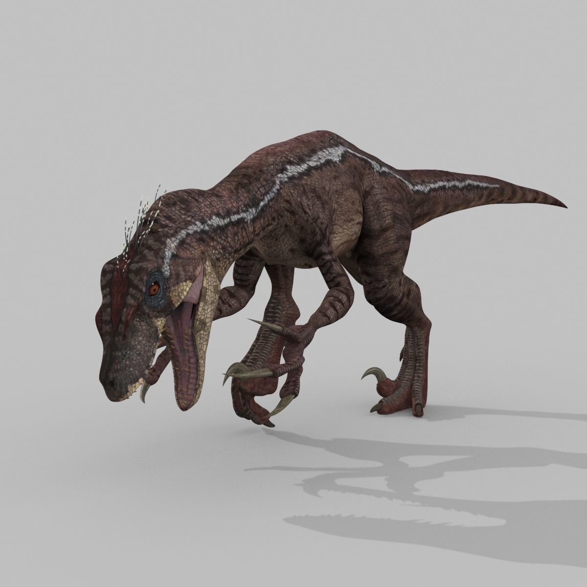 Raptor Forever - 8K 3D model_26