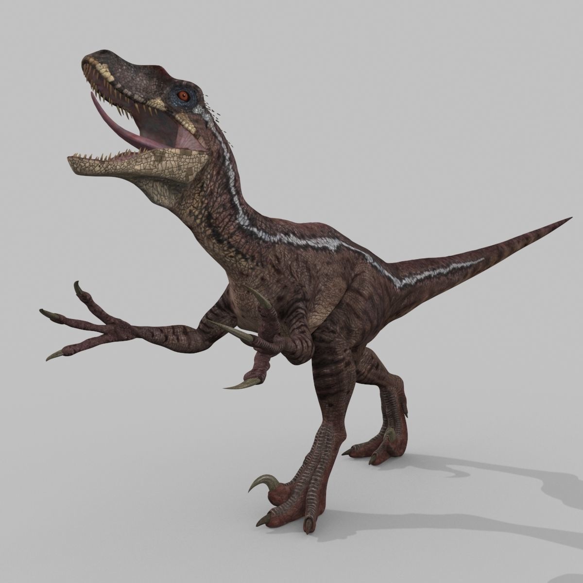 Raptor Forever - 8K 3D model_30