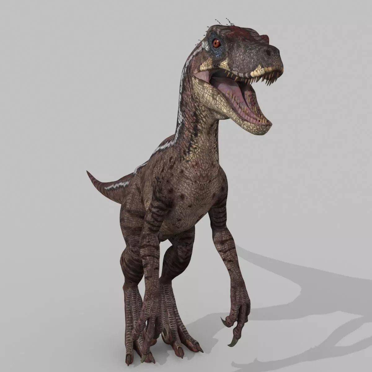 Raptor Forever - 8K 3D model_0