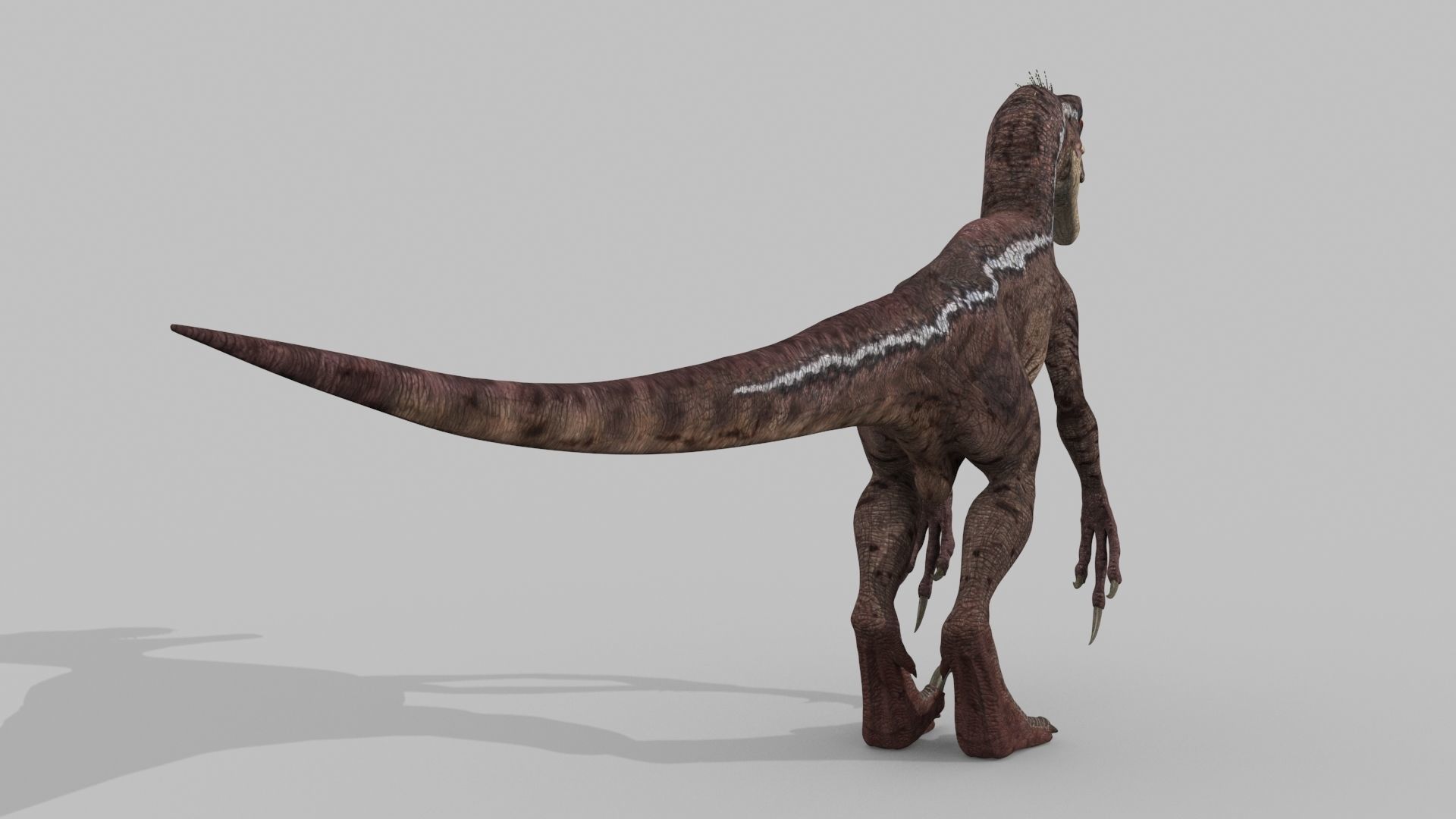 Raptor Forever - 8K 3D model_22