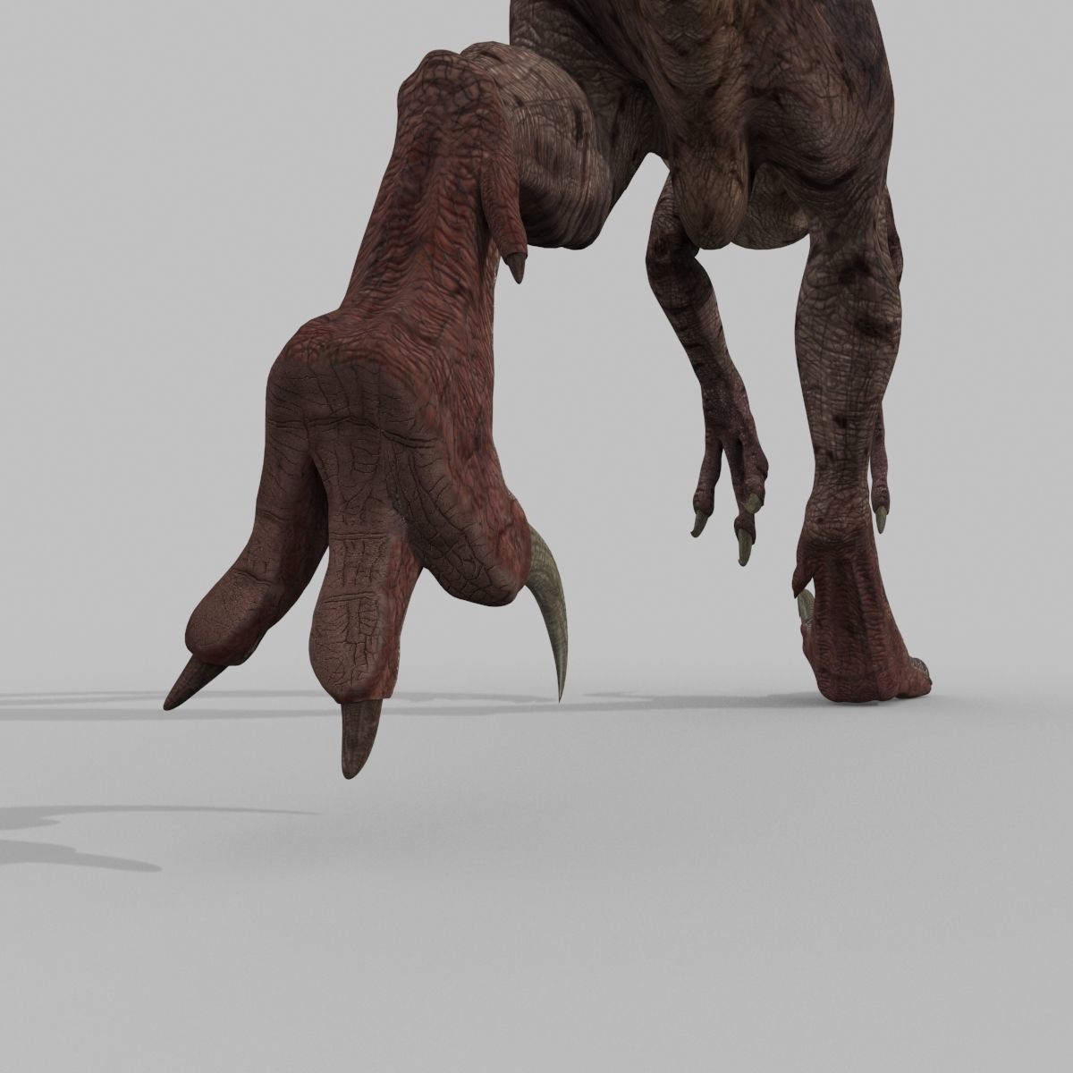 Raptor Forever - 8K 3D model_19