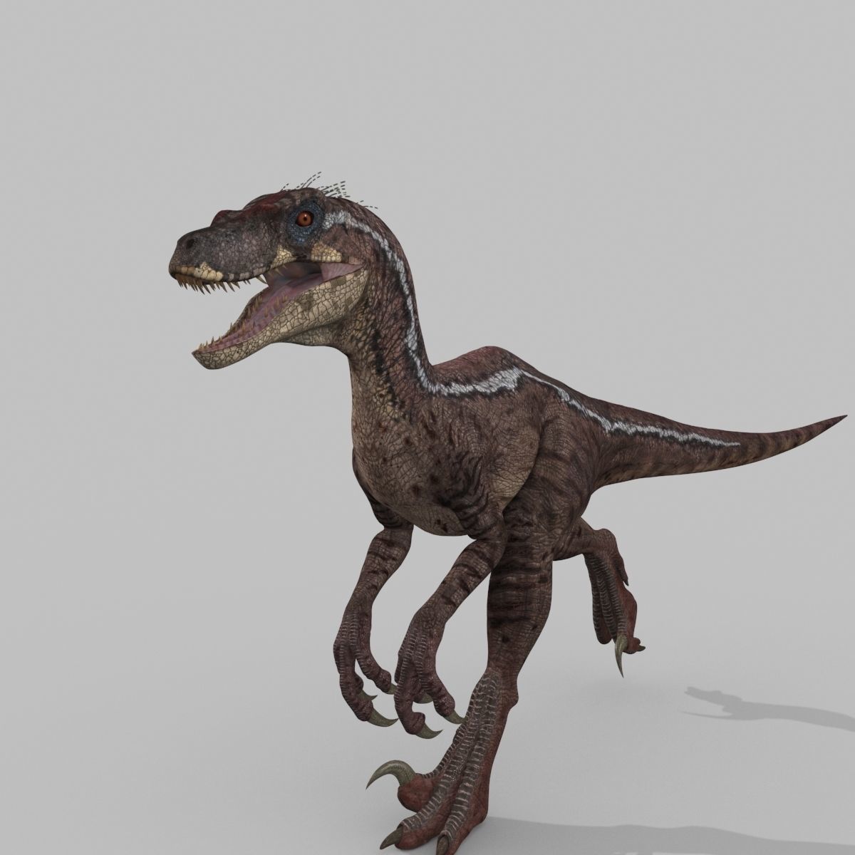 Raptor Forever - 8K 3D model_20