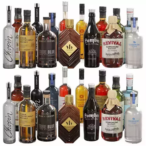 Bottle 05 3D model