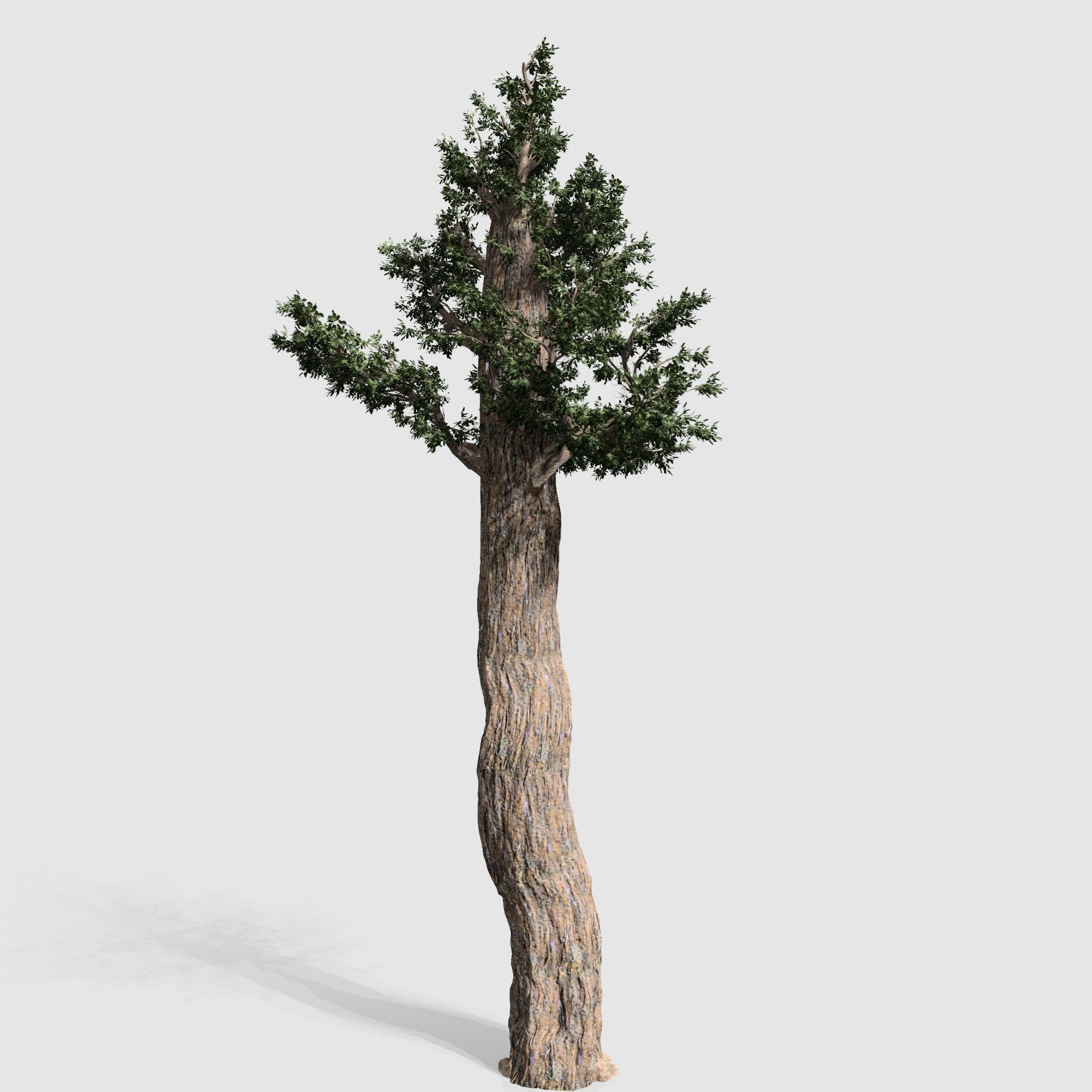 Giant Red wood tree collection 9 trees Models in the scene Low-poly 3D model_12